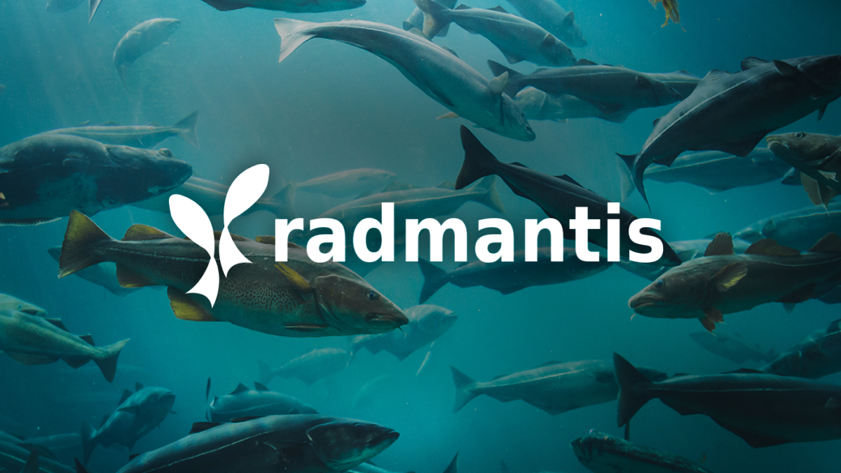 Radmantis Case Study