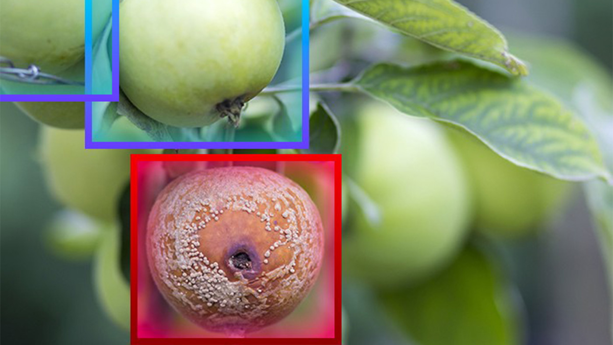 produce defect detection